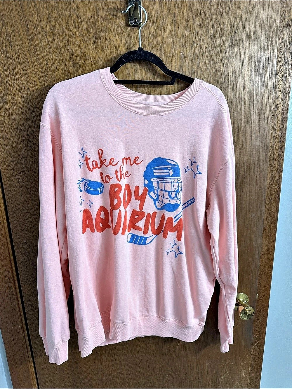 Take Me To The Boy Aquarium Sweatshirt Pink Graphic Sweatshirt